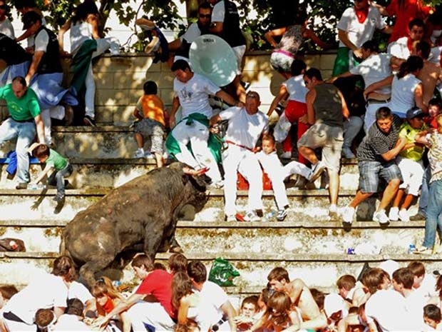 Touro invadiu a arquibancada durante tourada na Espanha