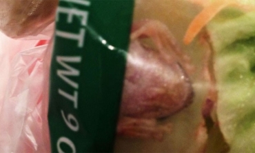 Mulher encontrou um sapo vivo em embalagem de salada. 