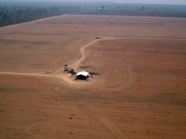 Mais de 6,5 mil hectares desmatadas ilegalmente foram embargadas pelo Ibama