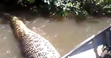 Casal aparece perseguindo animal em rio
