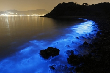 Foto feita com longa exposio mosra o brilho da Noctiluca scintillans na costa de Hong Kong