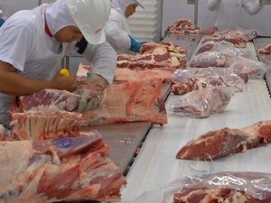 Frigorficos de Mato Grosso tm dificuldades em  escoar carne bovina para outros estados.