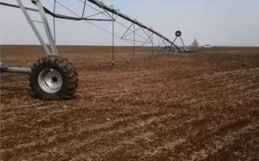 Propriedades rurais investem no plantio de soja irrigada em MT  Foto: Reproduo/TVCA