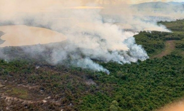 Do total de queimados, aproximadamente 35 mil so na rea da Reserva Particular do Patrimnio Natural