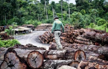 Levantamento detectou extrao ilegal em 168 mil hectares no Estado de Mato Grosso