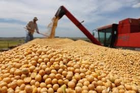 China comprou 775.3 toneladas de soja norte-americana em outubro