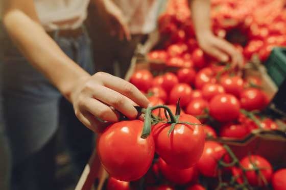 Conforme a pesquisa, os produtos que apresentaram a maior diminuição no preço foram o tomate (-14,92%), que teve o segundo declínio neste mês, e a batata (-13,72%)