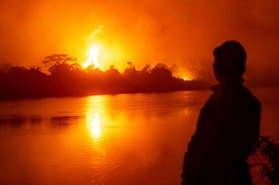 O Pantanal de Mato Grosso enfrentou o seu pior ano de queimadas
