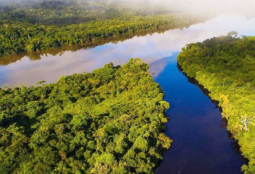 Ao todo, so 184.900 hectares de floresta amaznica primria, que promovem a conservao da fauna e flora do sul da Amaznia brasileira
