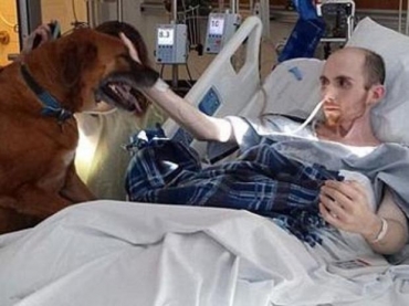 Imagem divulgada no tablide britnico Daily Mail mostra Mike se despedindo do co Rusty