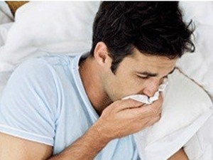 Sucesso de pesquisa com vrus da gripe em roedores no significa bons resultados em humanos, alertam pesquisadores.