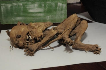 Criatura gerou espanto e temor na prov�ncia de Santa F�