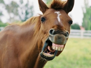 Duro deve ser preparar esse drink...