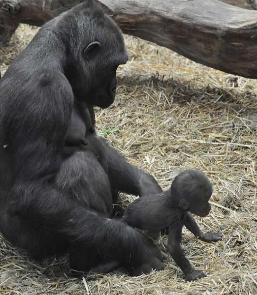 Tiny passa a maior parte do tempo com a me