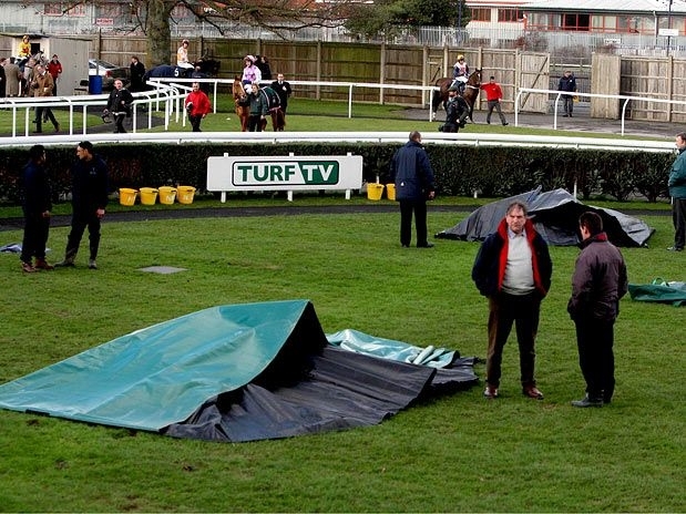 Cavalos podem ter tomado choque de um cabo subterrneo