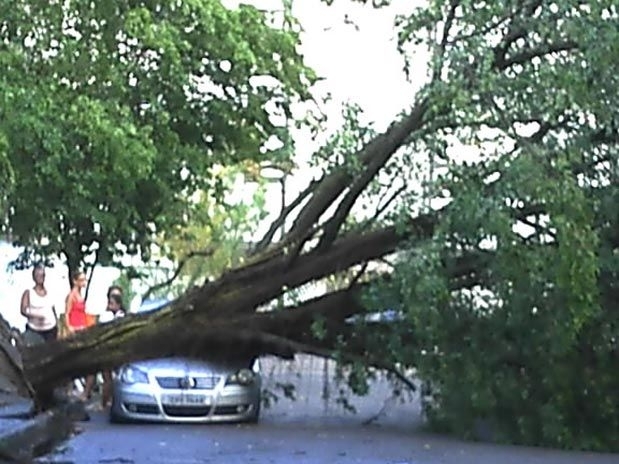 Queda de rvore na rua Miguel Couto, no bairro Aparecida, atingiu um carro estacionado no local
