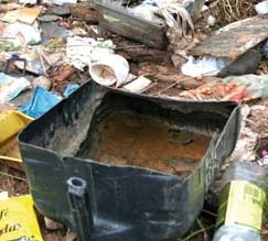 Regio leste da Capital, em bairros como Dom Aquino,  a mais preocupante, com infestao de 12,4%