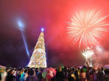 A rvore tem 56 m de altura, o equivalente a um prdio de 18 andares, e foi coberta por materiais ecolgicos