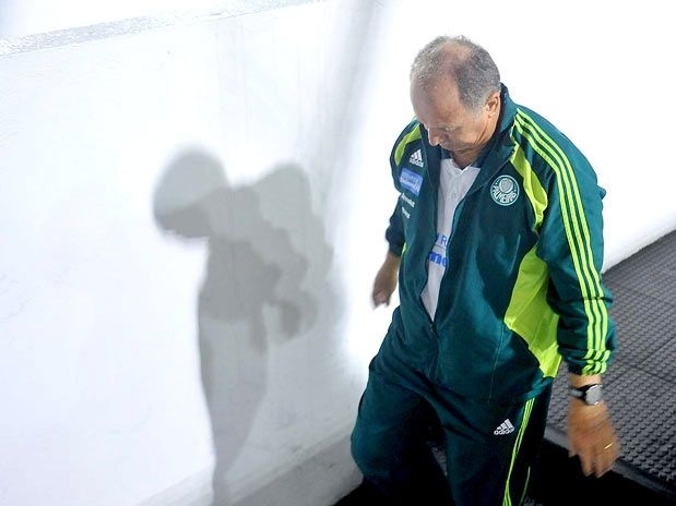 Tcnico palmeirense pediu desculpas  torcida em vdeo no site oficial do clube