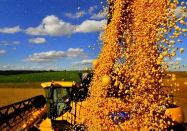 Complexo soja, especialmente em gro, puxou a retrao nas vendas no ms e no acumulado do ano