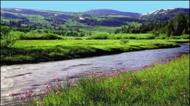 Foto mostrada a pacientes era acompanhada por sons de passarinhos cantando