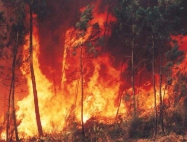 Risco na regio do Pantanal  grande; vrias propriedades foram afetadas e hotel turstico fechou