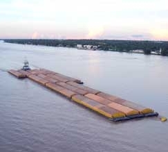 Seca � considerada a segunda pior, perdendo apenas para o fato registrado em 2005. Uma s�rie de quatro d�cadas 