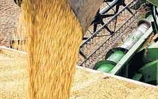 Levantamento da Safra de Gros 2009/2010 aponta para a produo nacional de 147 milhes de toneladas, recorde no pas