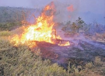 Mato Grosso j contabiliza mais de 120 mil focos de calor este ano e lidera ranking dos que mais queimam no pas.