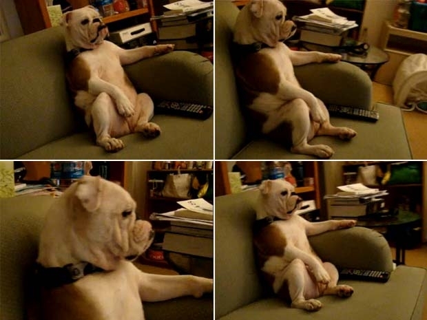 Vdeo faz sucesso na internet.