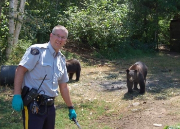 Ursos eram usados para proteger plantao de maconha.