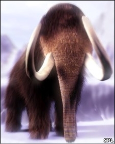 Mamutes foram extintos na Sibria por volta de 4 mil anos atrs