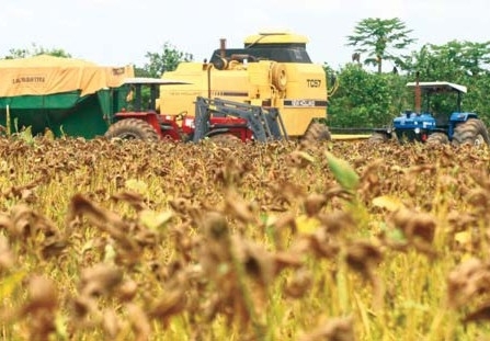 Soja: Se a safra 10/11 fosse cultivada hoje no Estado, ela teria um custo de produo quase 5% menos em relao a 09/10