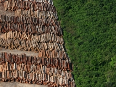 MT diminui a devastao na floresta em junho, diz Imazon