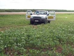 Tcnicos correm contra o tempo para descobrir as causas da doena
