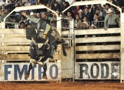 Joo Maria vence o Desafio FMTRO na dcima etapa do Circuito Mato-grossense de Rodeio