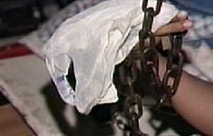 Av acorrenta criana que roubava bicicletas dos vizinhos em Ribeiro Preto, SP