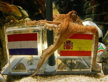 O momento de gl�ria da F�ria foi tamb�m o de Paul, que parecia j� saber que os espanh�is seriam campe�es da Copa do Mund