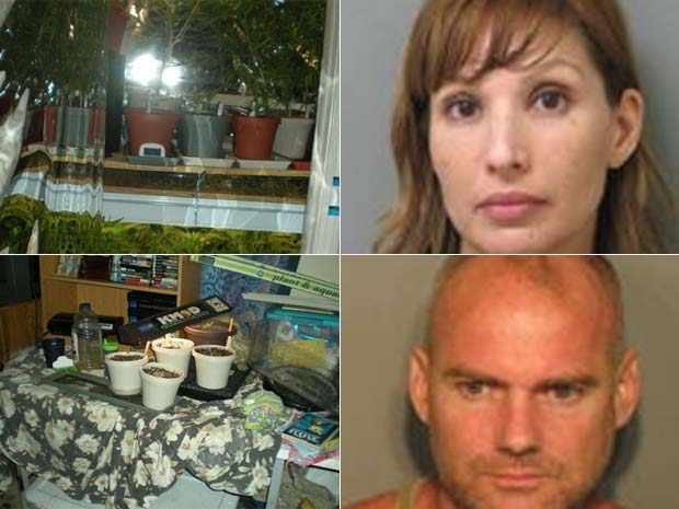 Mark e Debra Tucker cultivavam maconha nos quartos dos filhos.