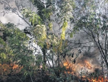 Fogo atinge 60% da rea e no  contido 