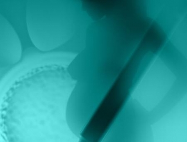 Mdica diz que resultados so animadores para mulheres que vo passar por tratamento de cncer e precisam congelar vulo