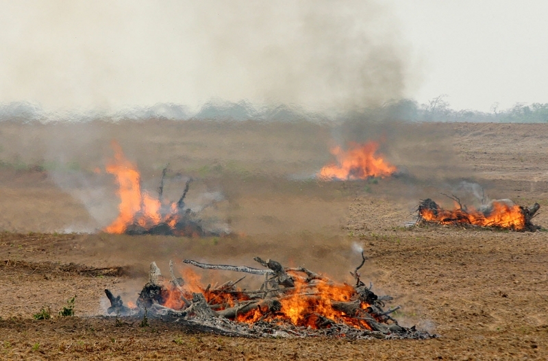 Trs grandes ocorrncias j exigiram atuao de brigadistas, um em Chapada