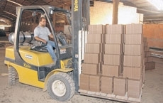 o milheiro de tijolos est sendo comercializado entre R$ 300 e R$ 350 e no h indicativo de alterao nos preos