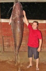 Piraiba pescada no Tapajs