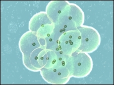 Mais de 4% dos bebs nascidos com a ajuda de tcnicas tm problemas