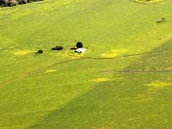 Membros de movimentos de trabalhadores rurais querem aprovar plebiscito para limitar fazendas 