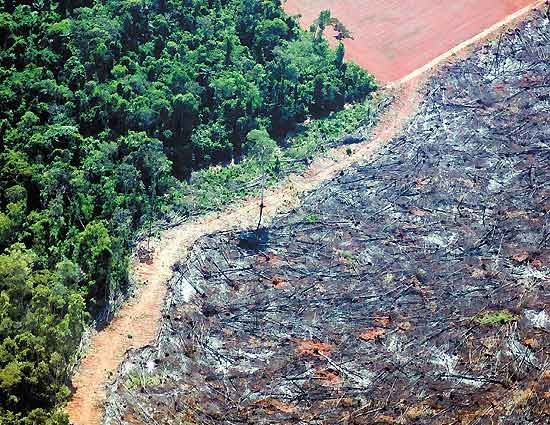 Campanha vai distribuir 1 milho de camisinhas em empresas de diferentes ramos