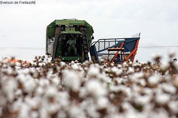 Contribuintes dos EUA preferem reforma a pagar subsdios aos brasileiros