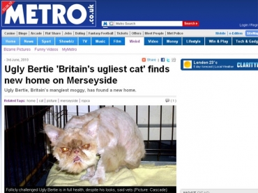 Bertie, de 8 anos, foi adotado por casal de Mereyside