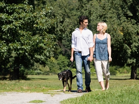 Exerccios fsicos leves podem diminuir os efeitos do envelhecimento celular causado pelo estresse